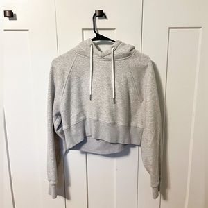 Abercrombie & Fitch Cropped Hooded Sweatshirt